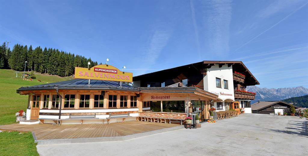 Söll_Salvenmoos im Sommer_Wilder Kaiser