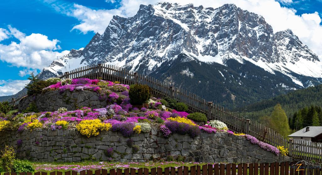 Steingarten mit Blick auf die Zugspitze