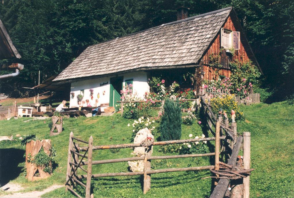 Romantische Almhütte - Pramfelderreith