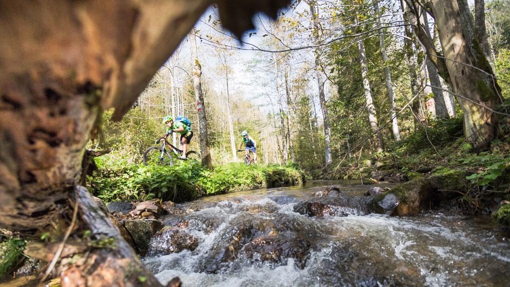 Biken im Böhmerwald