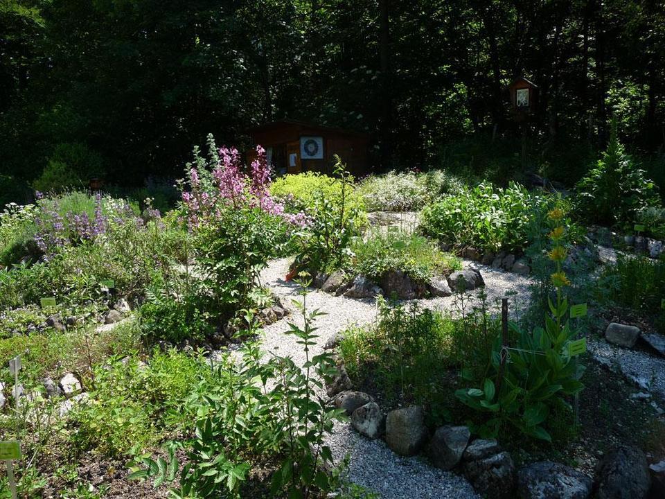 Kräutergarten