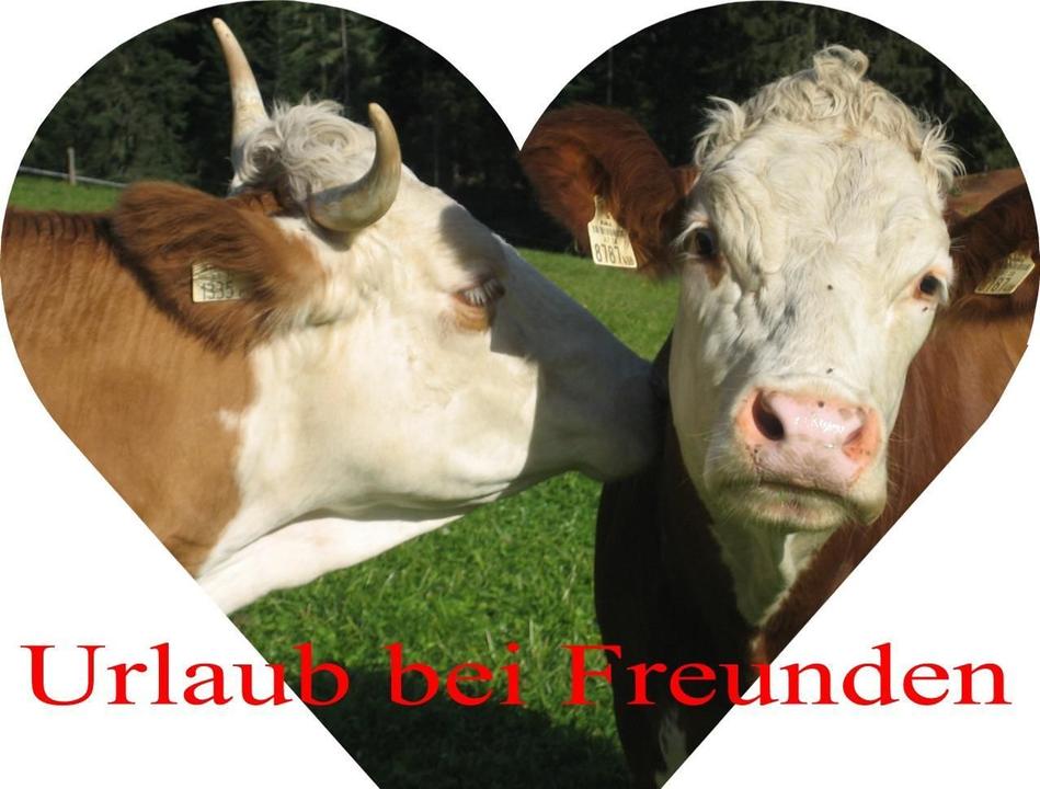 Herz