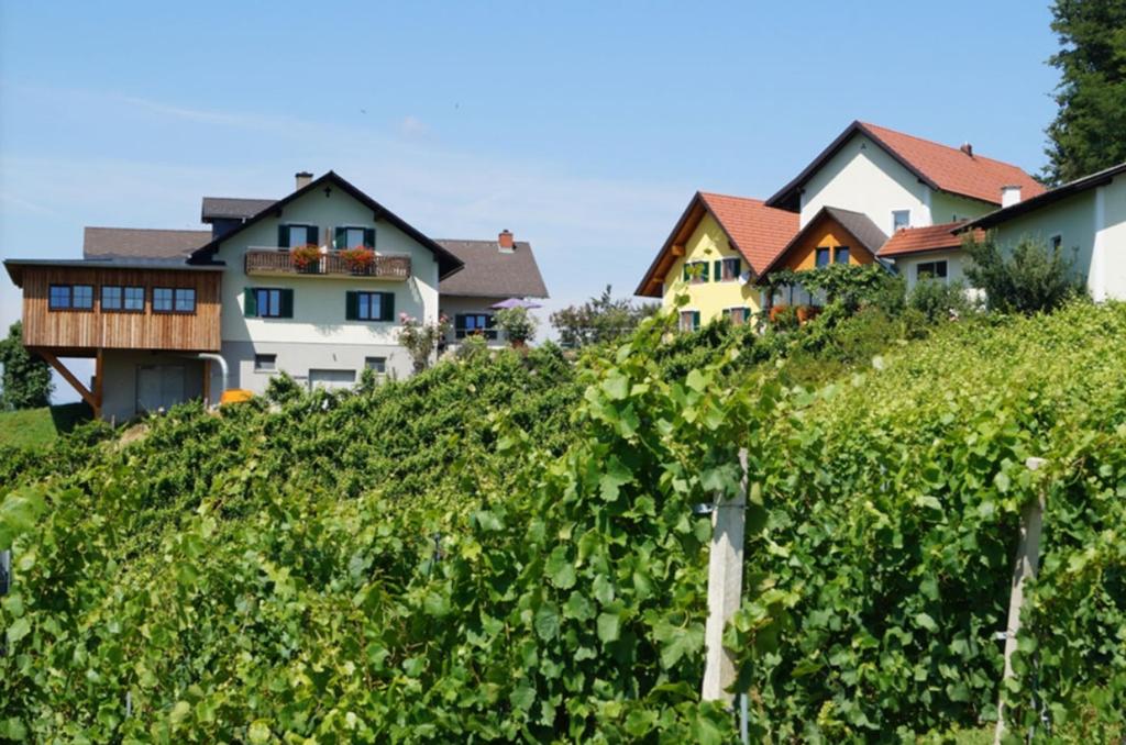 Weingut