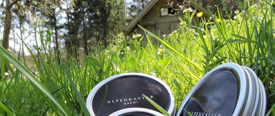 Alpenkaviar