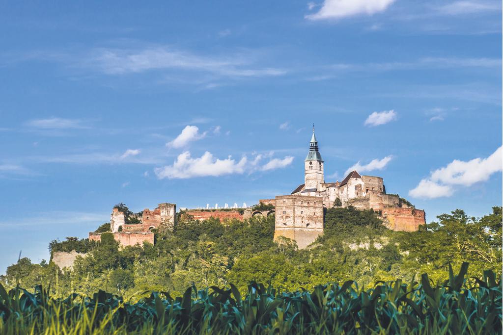 Burg Güssing