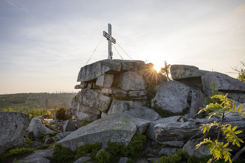WandernAmDreilaenderweg11_FerienregionBoehmerwaldAndereasMuehlleitner.jpg