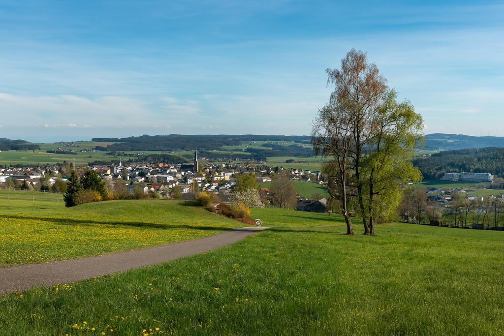 2020 Frühling Mühlviertler Hochland Bad Leonfelden