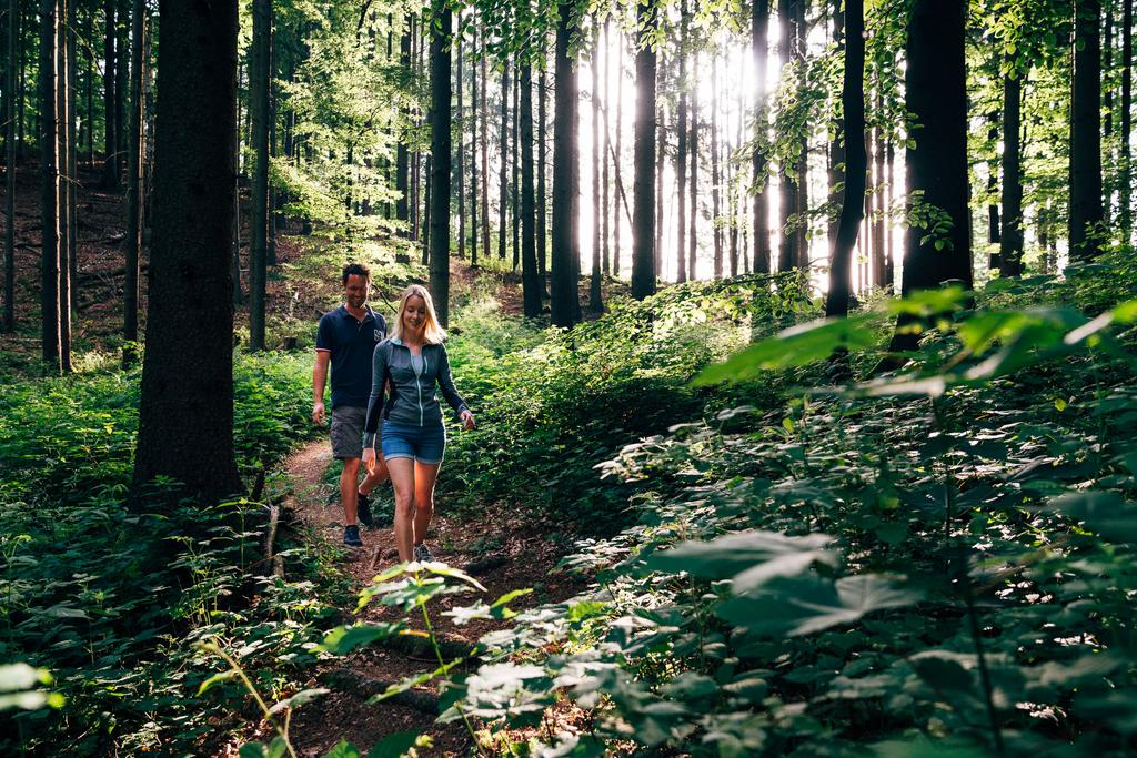 Durch den Wald