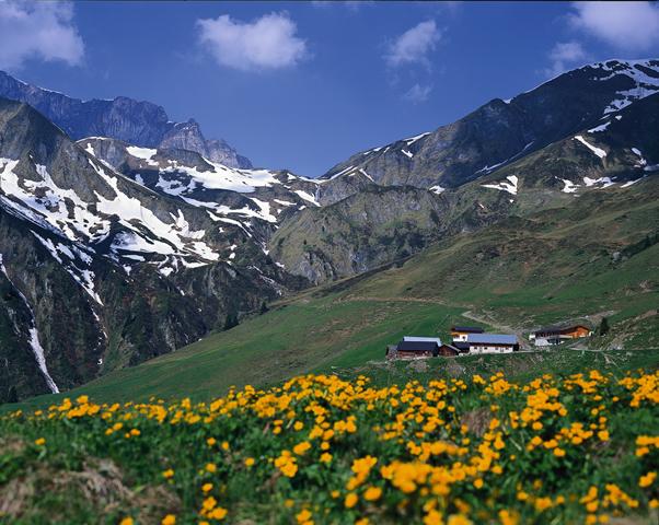Almenweg-Nasse Tux Alm