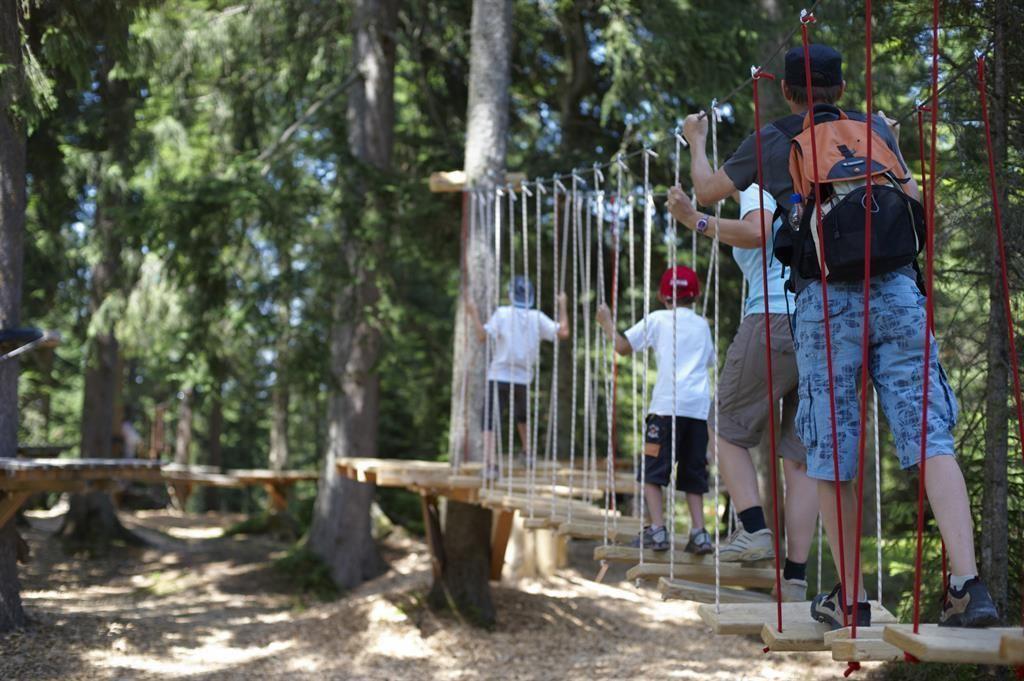 Niederseilgarten und Coaster auf der Timoks Alm