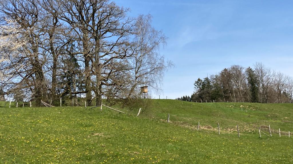 Rundweg Wimberg