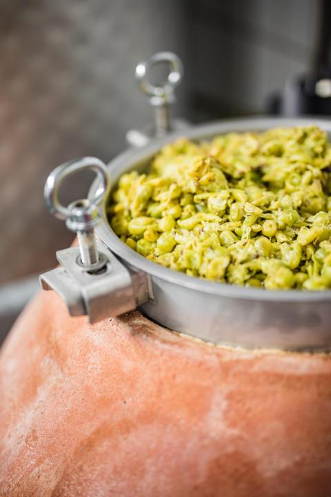 Weingut Tschermonegg (c) Weingut Tschermonegg (24)