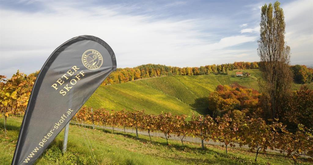 Weingut Peter Skoff_1