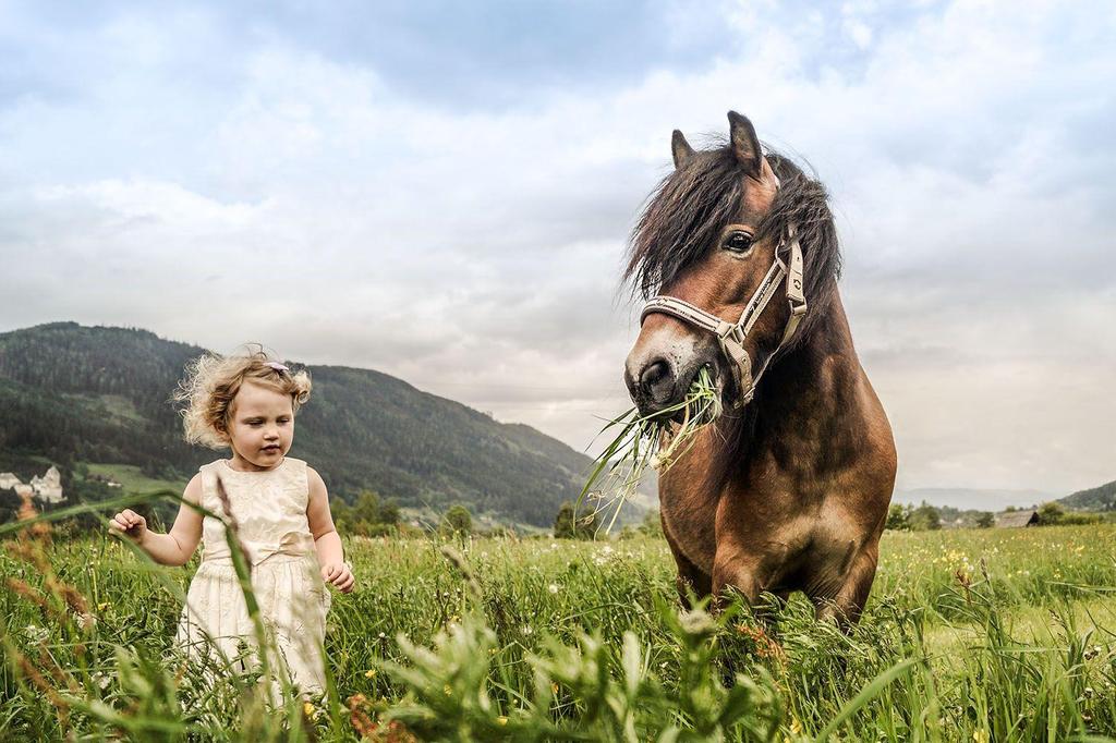 Ponyausritt