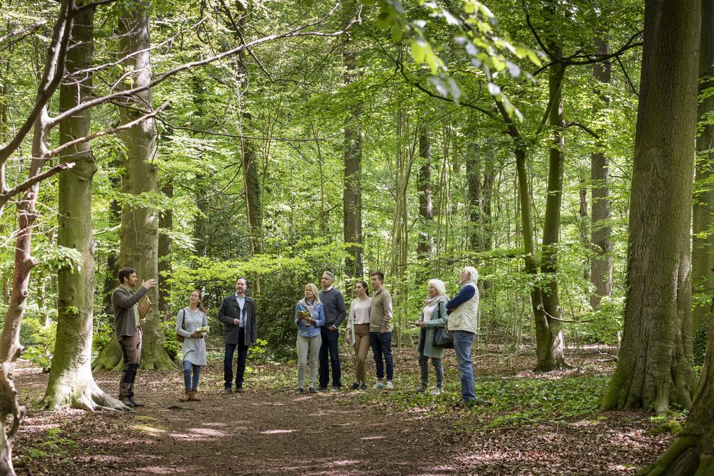 Waldführung im FriedWald