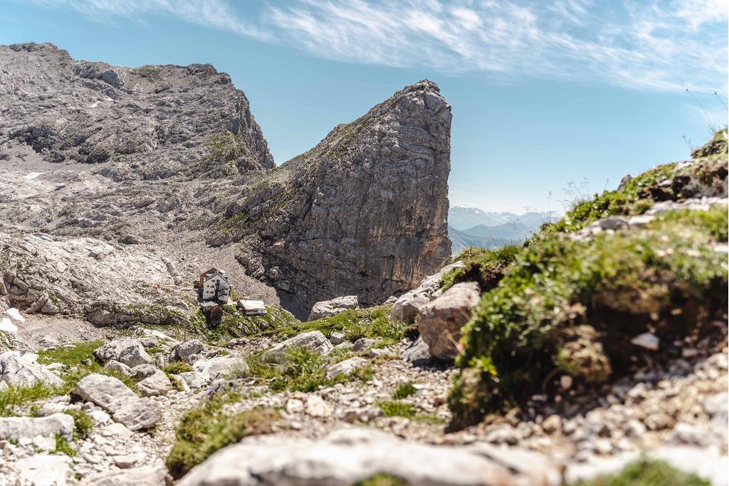 Blick Richtung Riemannhaus und Sommerstein
