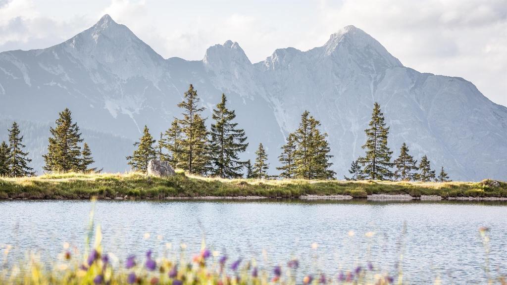 Kaltwassersee im Sommer