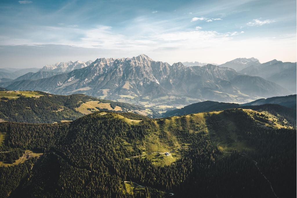 Sommerlandschaft