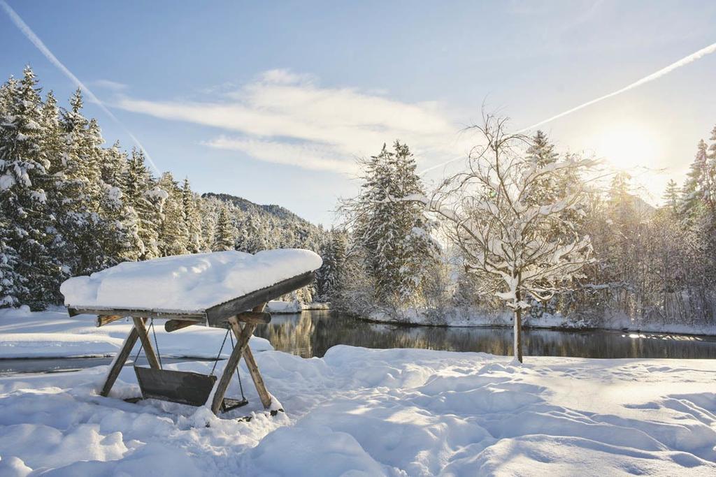 Winterwandern am Hüttenmühlsee