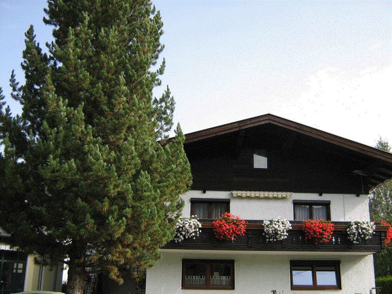 Haus im Sommer
