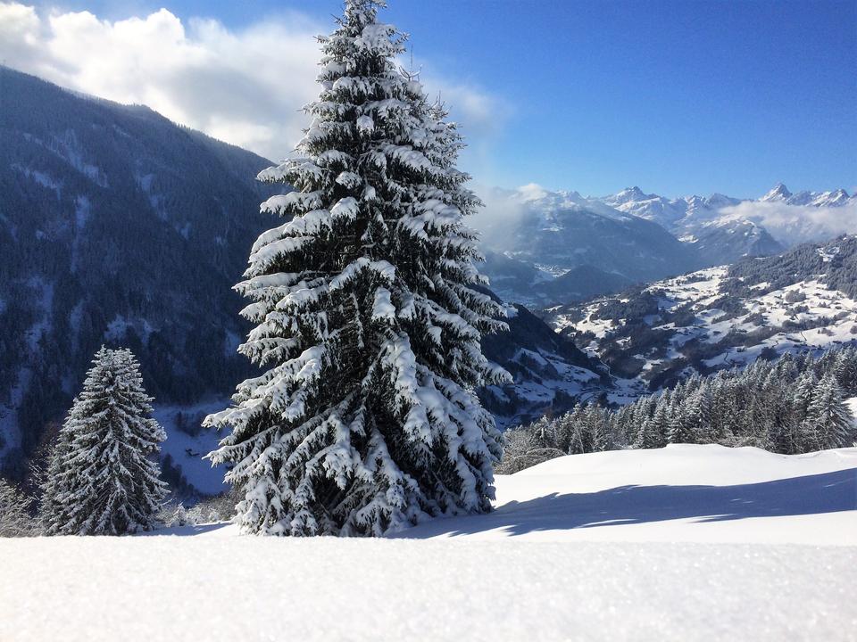 Ausblick