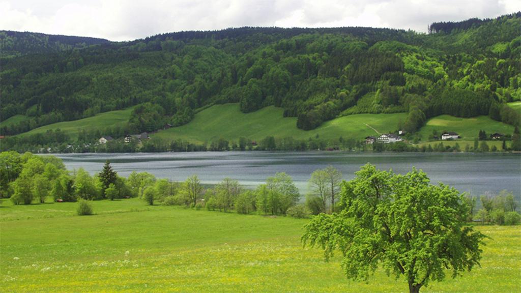 Irrsee Ostufer