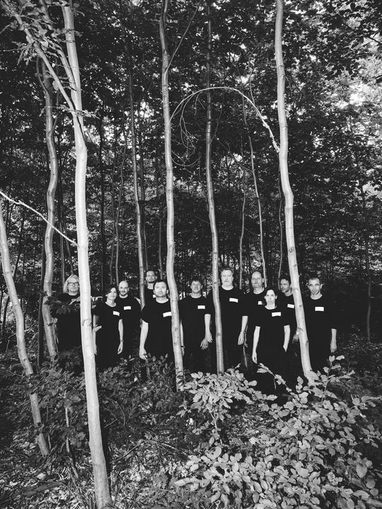 FranuiOfczarek-Holzfällen_