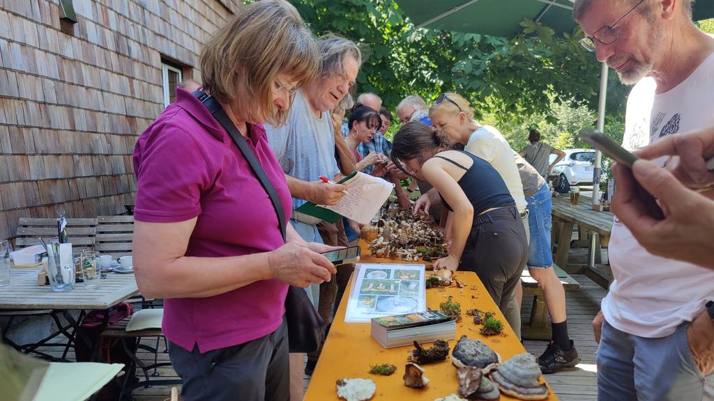 Foto Frischpilzausstellung
