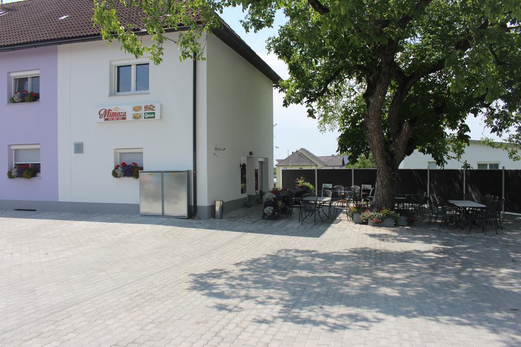 Mimoza_Kiyafet_160718