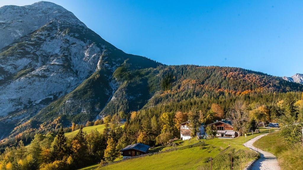 Ropferstubm im Herbst - Moesern-Buchen