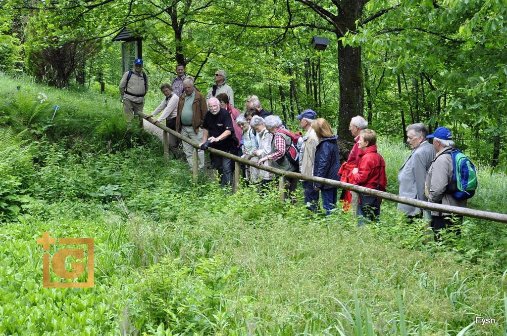 Naturkundliche-Führung - Himmelreichbiotop Micheld