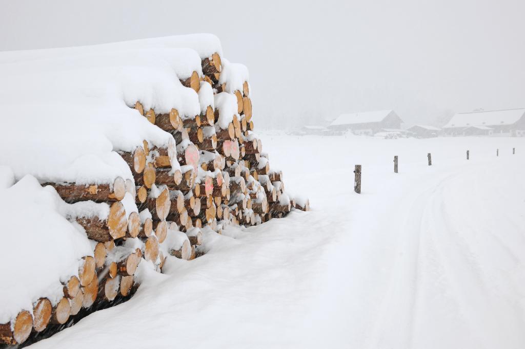 Winterwandern in Saalfelden Leogang