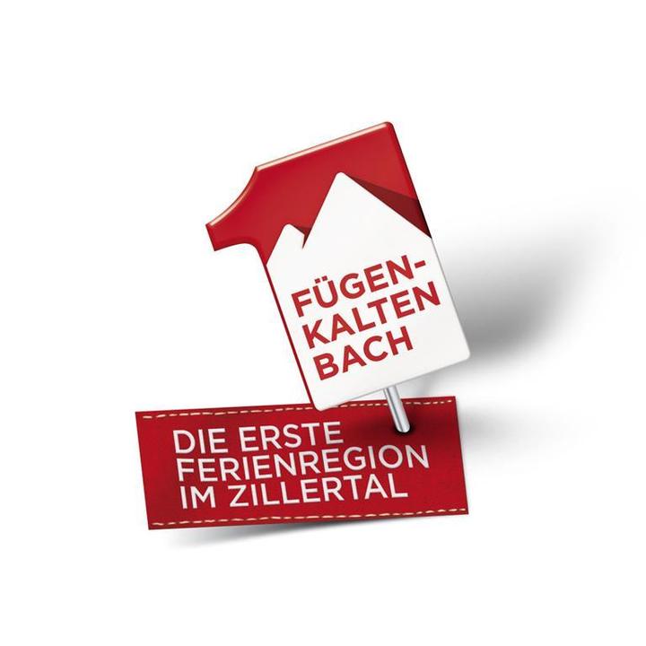 Logo EFZ