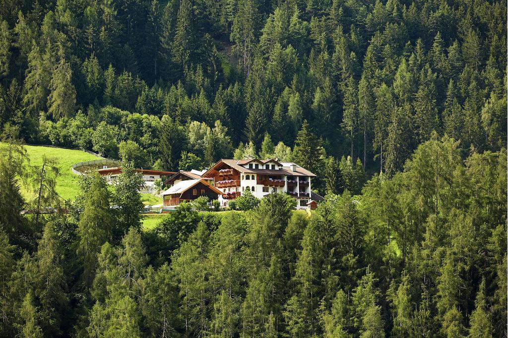 Gröbenhof Sommer1
