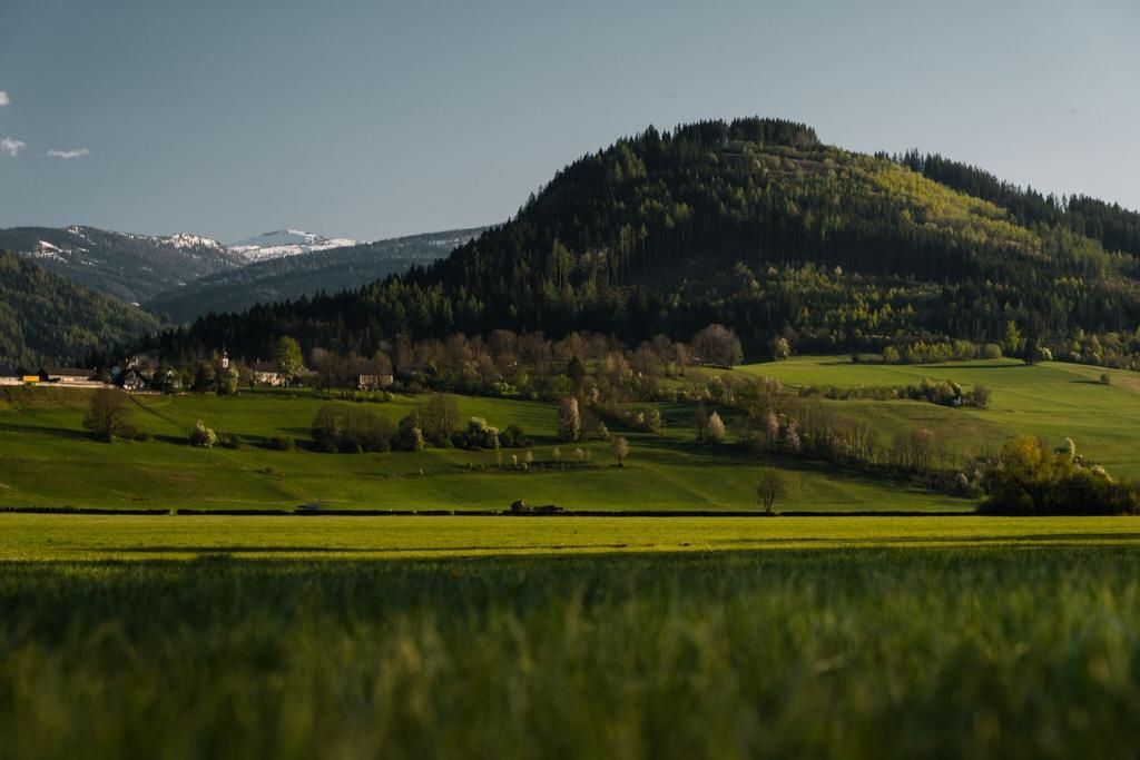 Der Kulm von seiner "sanften" der Stainacher Ansicht