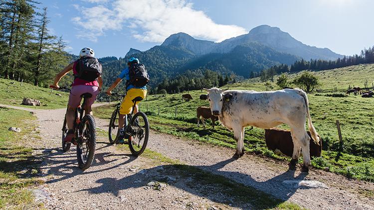 Mit den Mountainbikes auf die Eisenauer Alm
