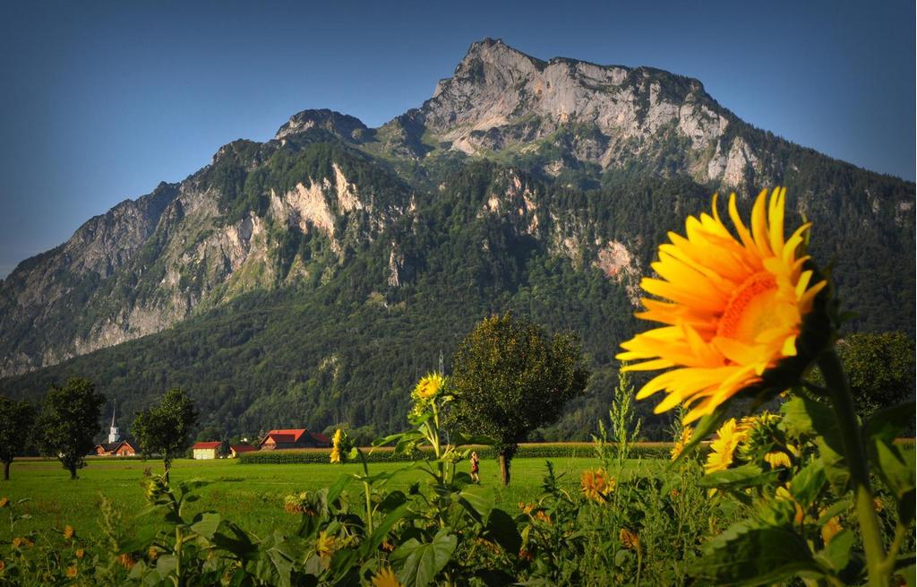 Untersberg im Herbst