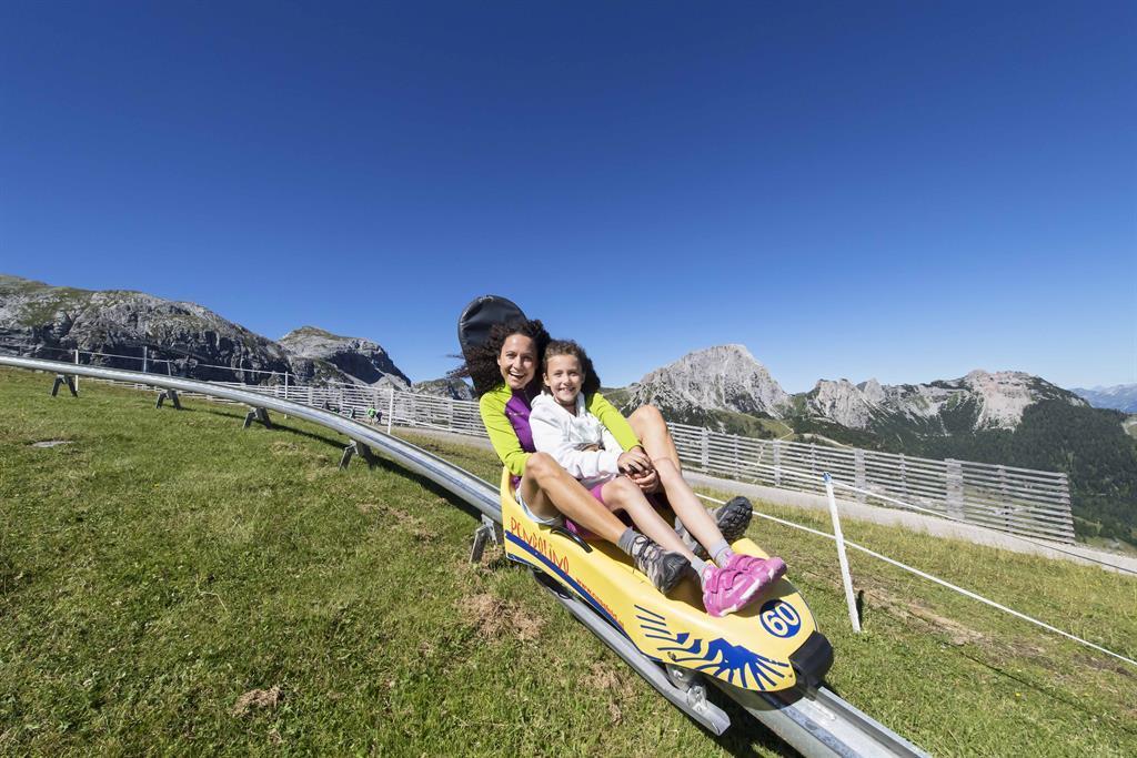 Sommerrodelbahn