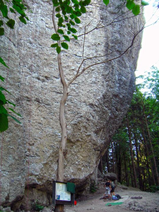 Klettergarten Bürser Schlucht