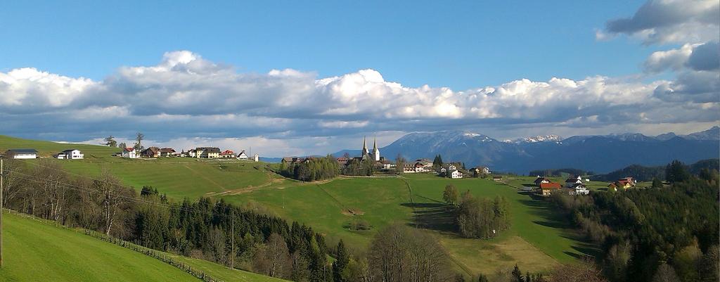Blick über Diex zu den Karawanken