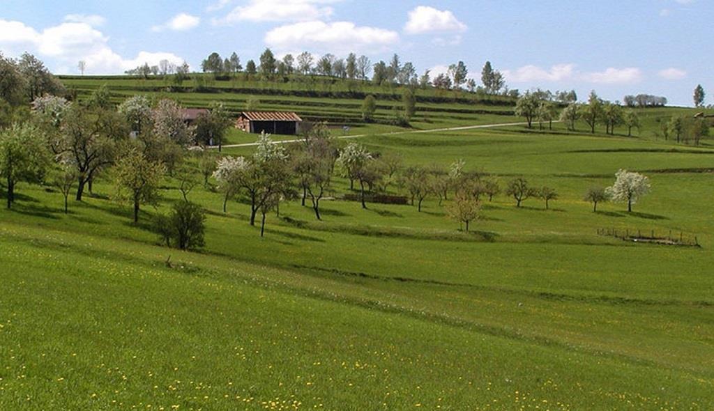 Kulturterrassen in Ödenkirchen Landschaft