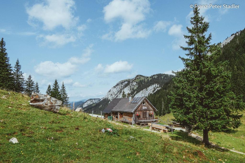 Die Ochsenbodenalm