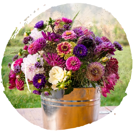 Naturfloristik_KlosterBlume_Blumen_aus_dem_Klostergarten_Voecklabruck
