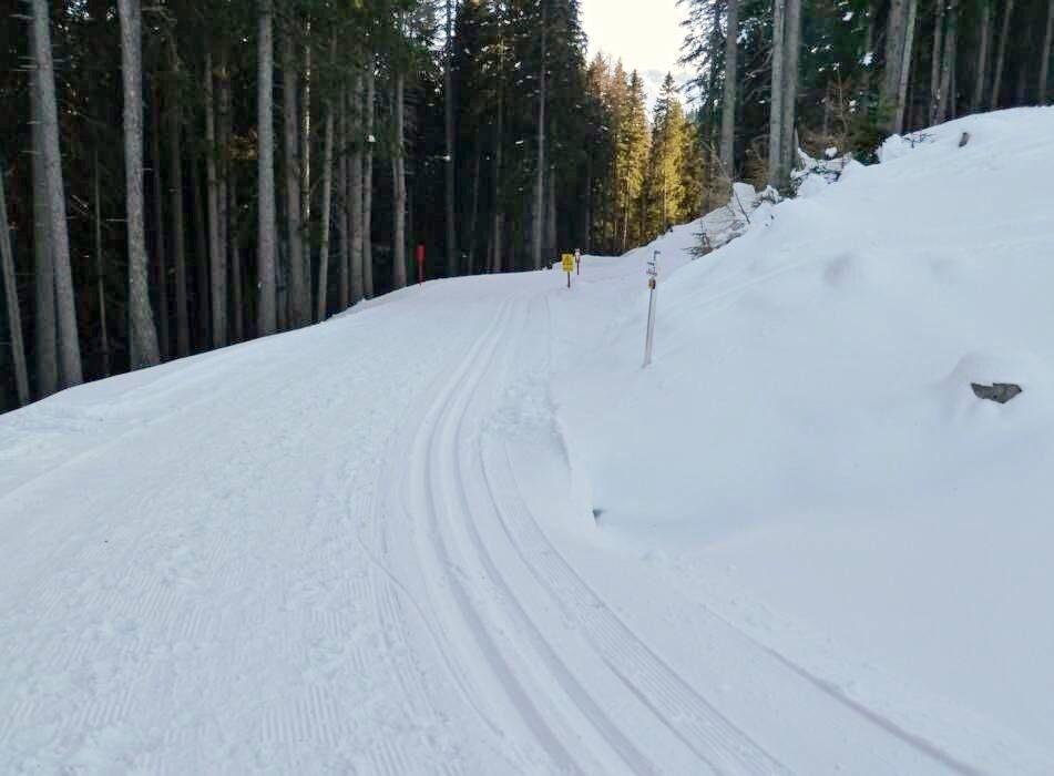 loipe_bergeralm1.jpg