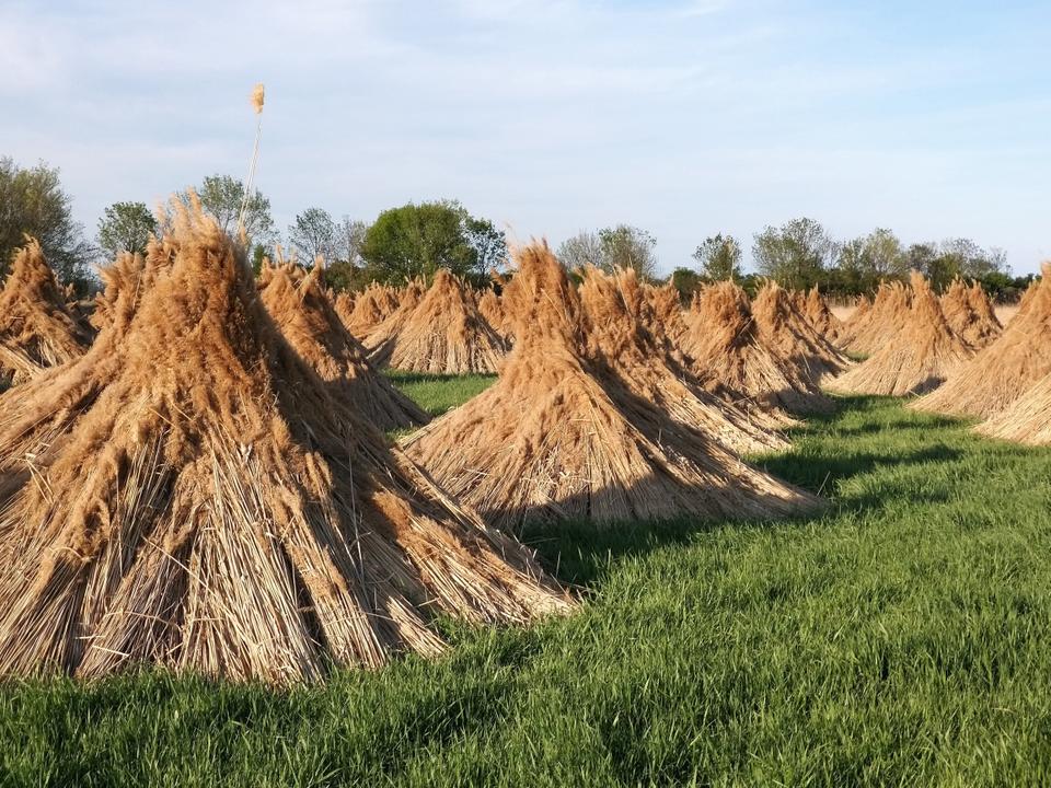 Naturweg Oggau