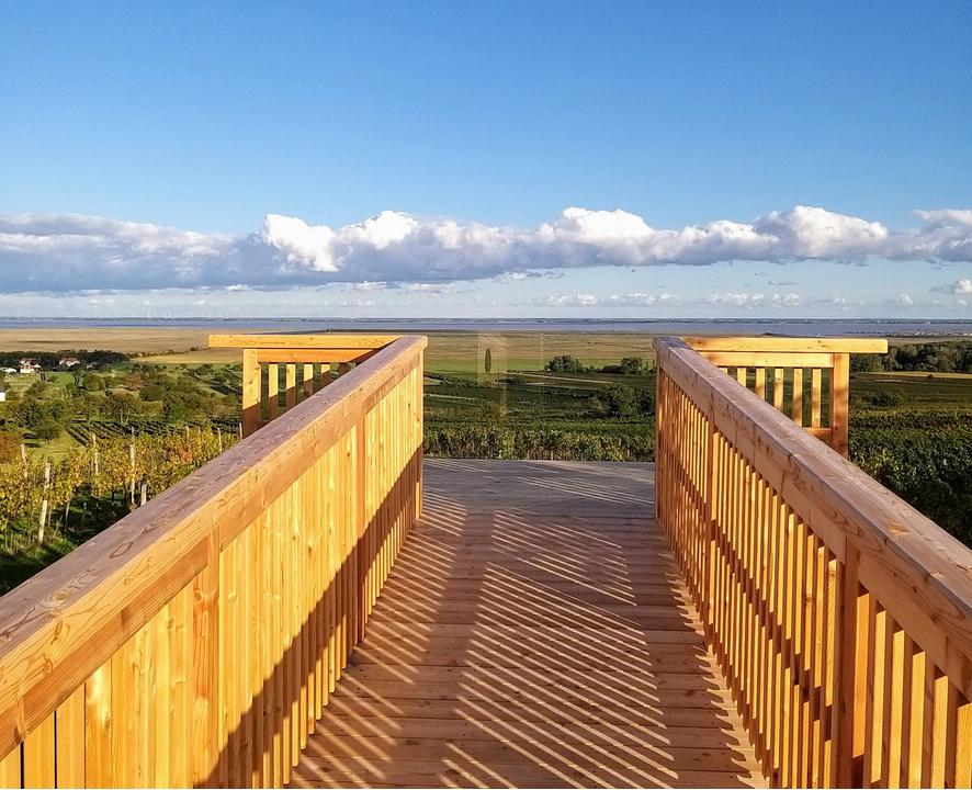 Aussichtsplattform Oggau am Neusiedler See