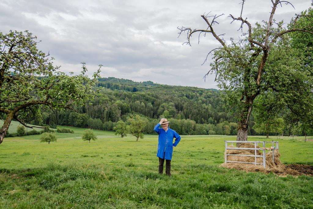 BiohofMascherbauerSchwertberg51_TourismusverbandDonauOberoesterreichCMVisuals.jpg