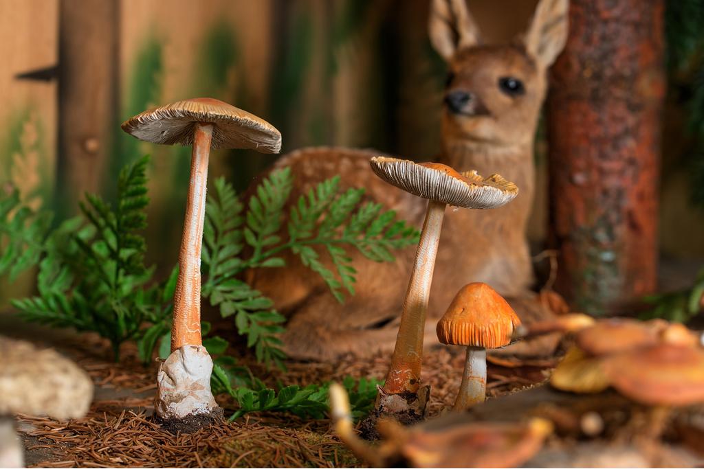 Pilz Museum 1