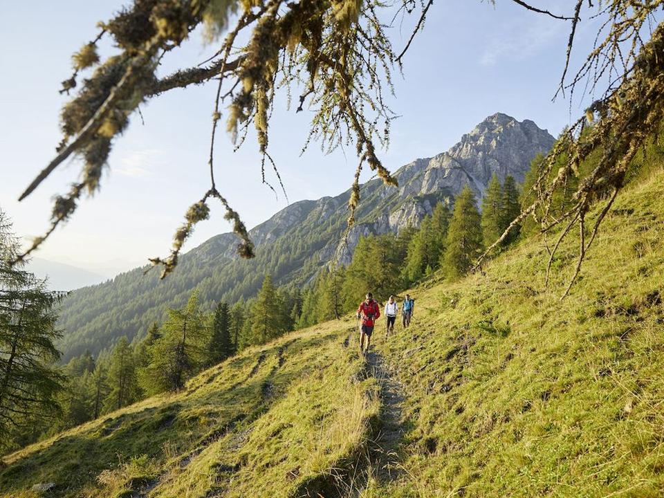 Wandern Nockspitze 1024x768.jpg