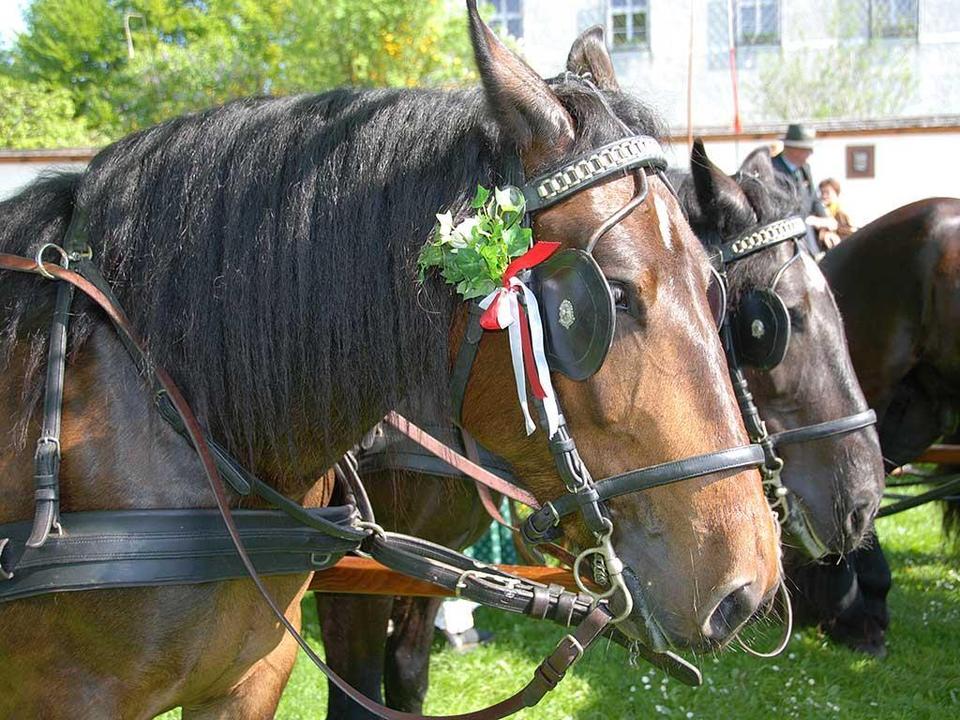 Kutschenfahrt